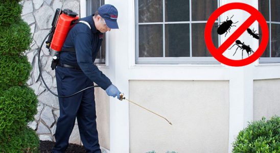 Sarıyahşi Bit İlaçlama böcek ilaçlama ve haşere kontrolü — ilaclama-tr.com